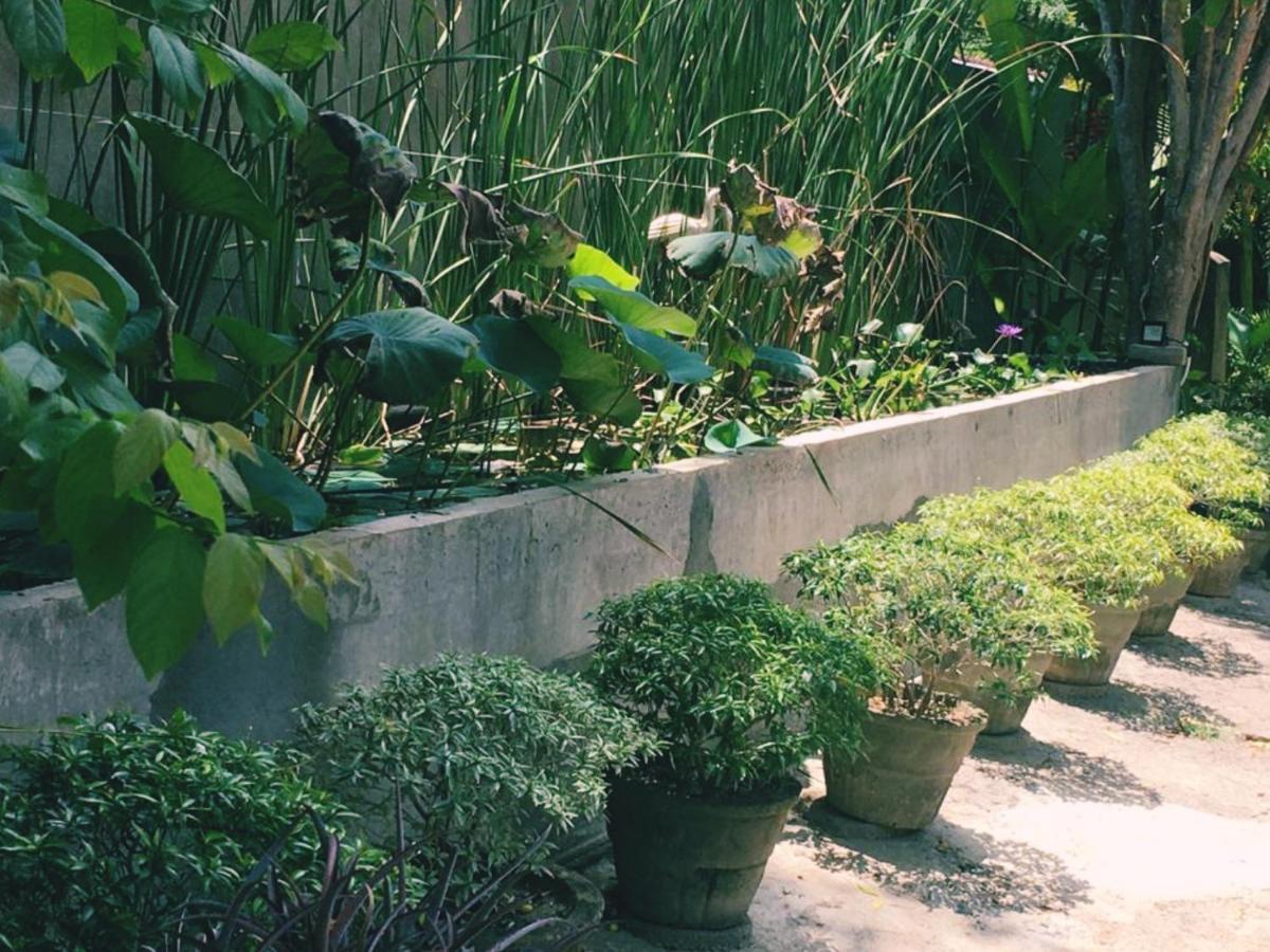 Seyara Holiday Resort Polonnaruwa Ngoại thất bức ảnh